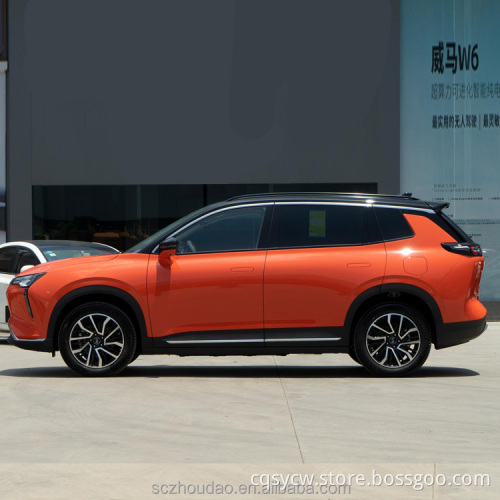 Chinese Wilmar brand EV new energy car luxury electric vehicles high speed big space WM motor W6 used cars EV